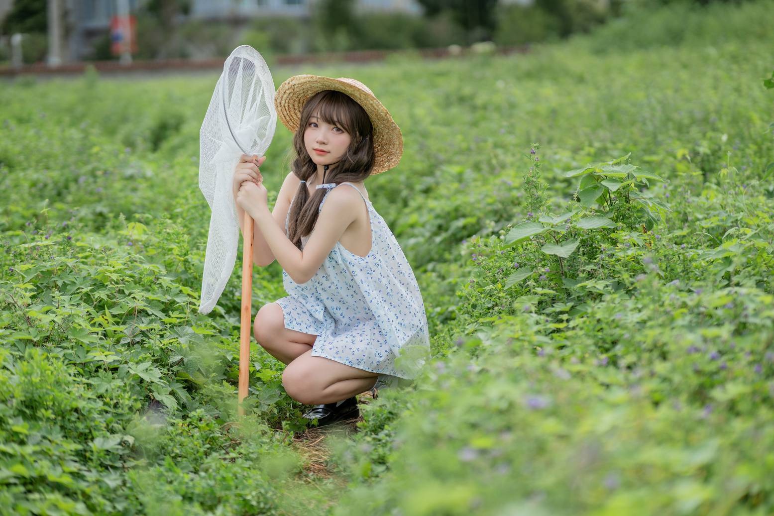 花铃 田野(26)